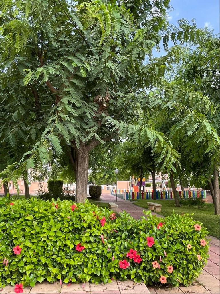 Puerto Marino Gran Alicante Bungalow In Beach Resort מראה חיצוני תמונה