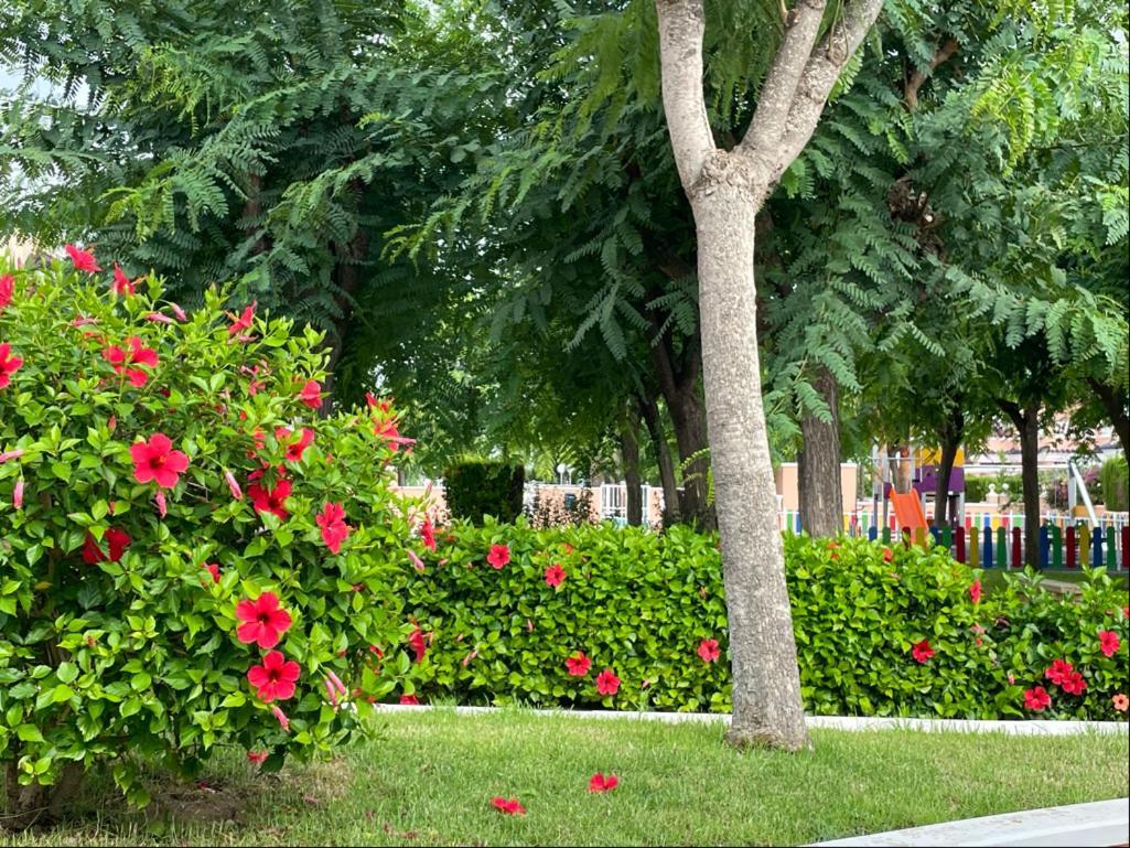 Puerto Marino Gran Alicante Bungalow In Beach Resort מראה חיצוני תמונה